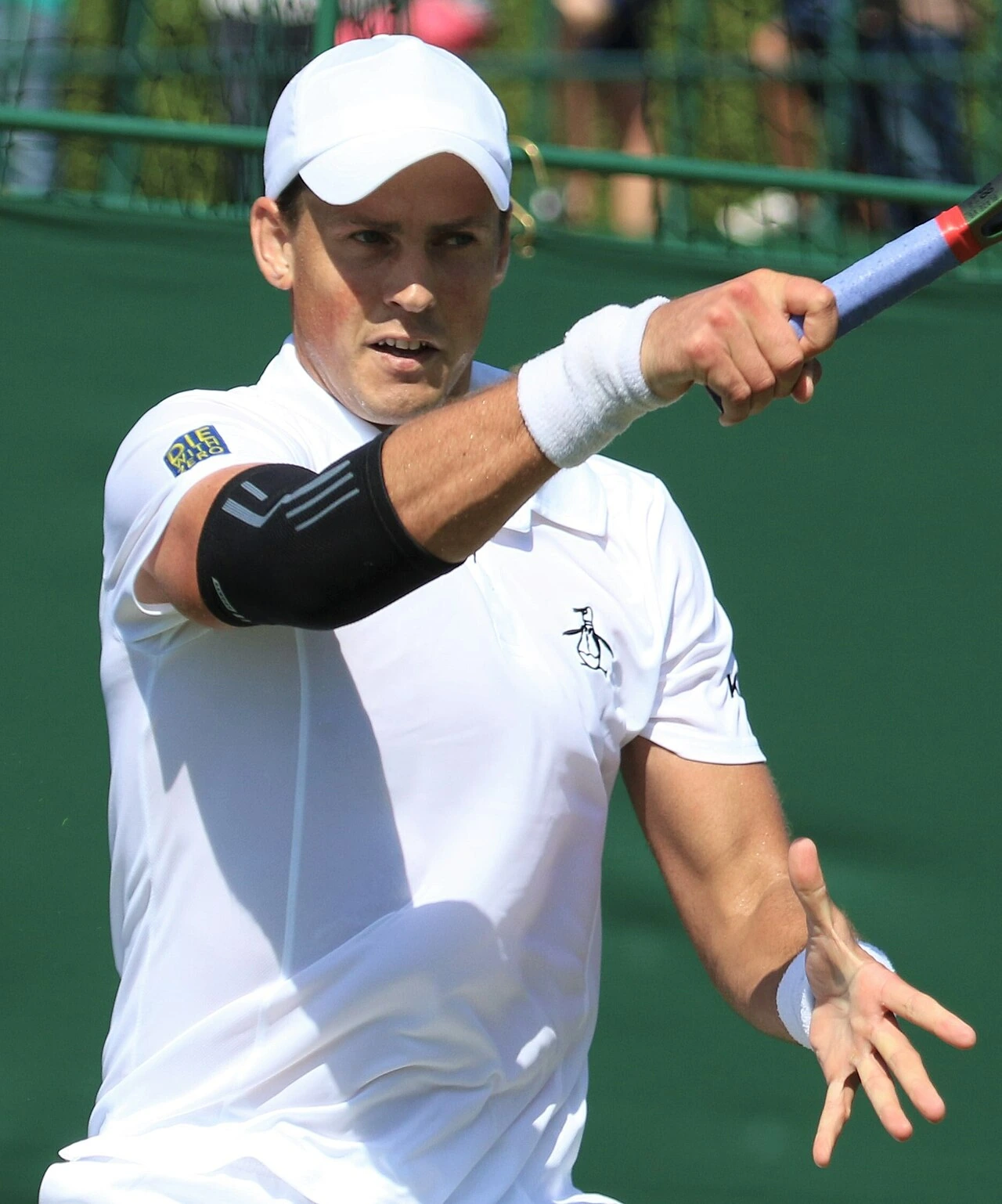Vasek Pospisil Net Worth: Estimate, Sources, and How Verified